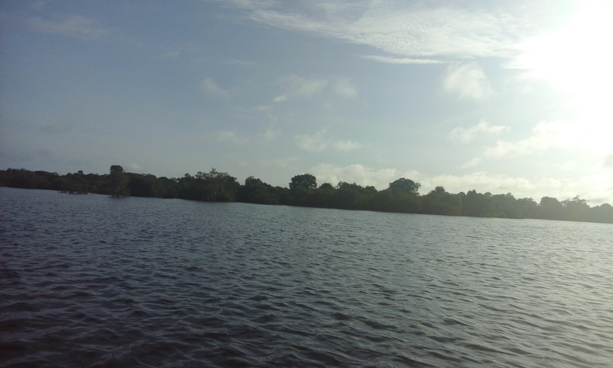 The lake landscape of Danau Sentarum, West Kalimantan.