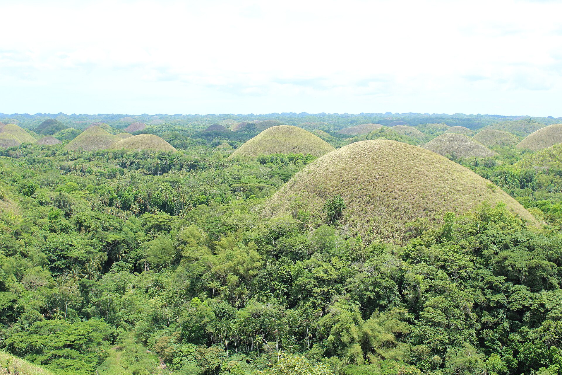 The limestone Chocolate Hills at Carmen, Bohol.