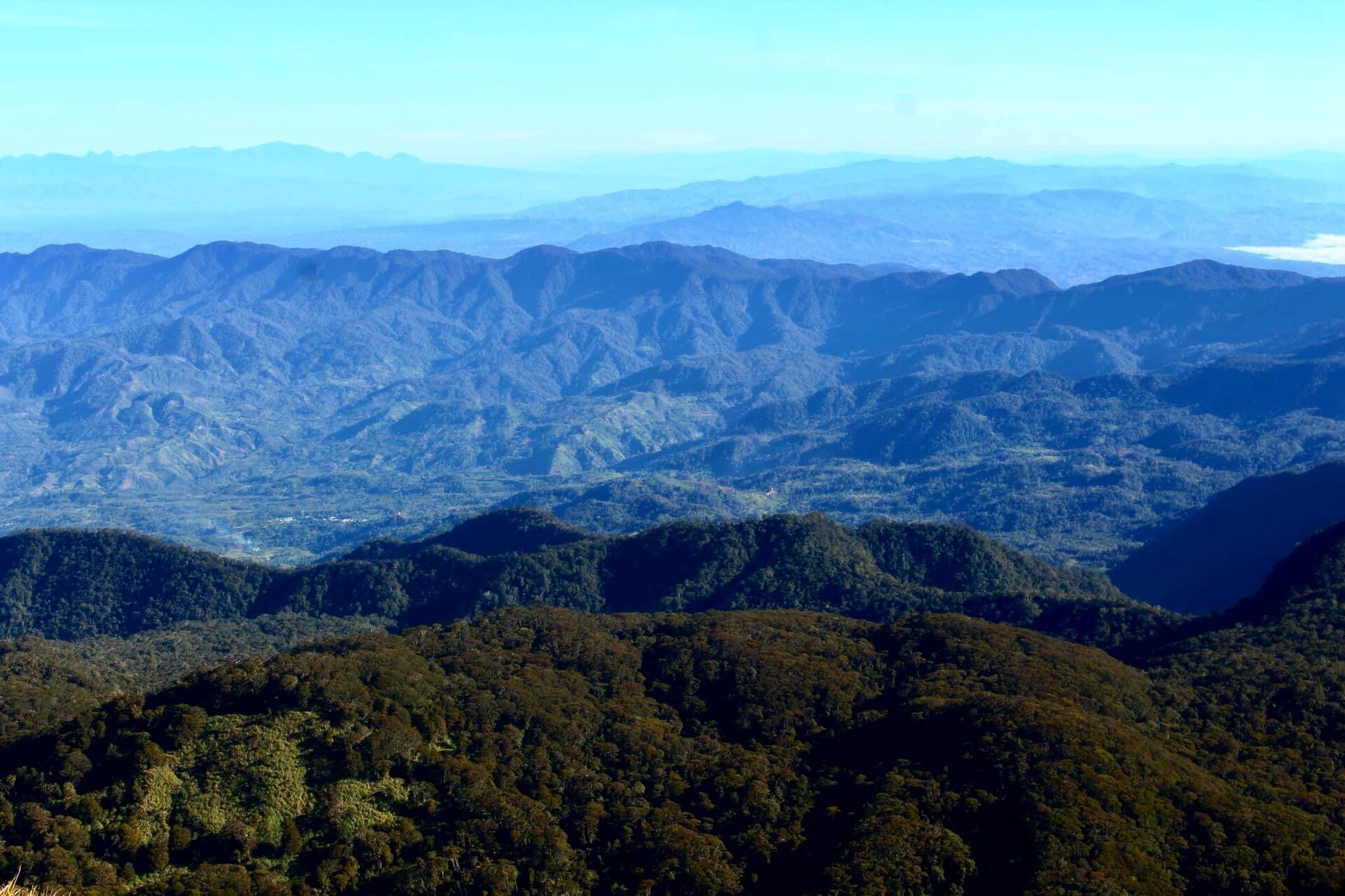 Forested mountain ridges viewed from Mount Apo, Mindanao.