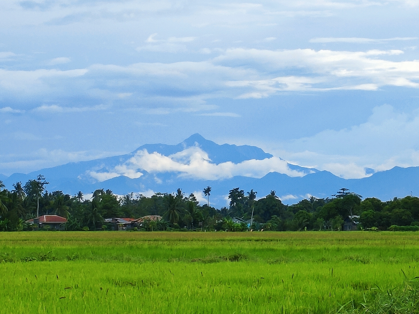 Mount Madja-as in Antique, part of the mountain landscape of Panay.