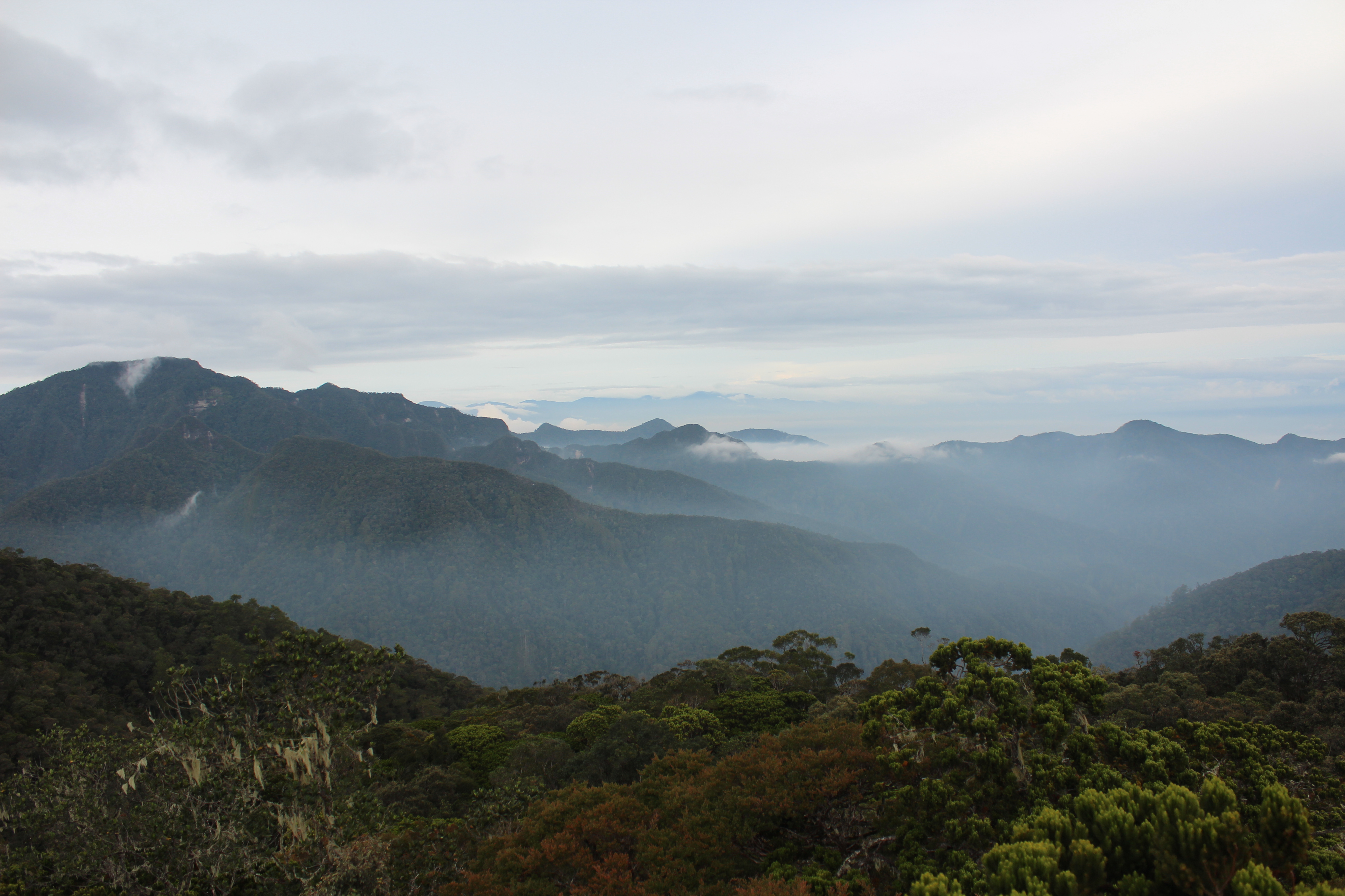 Mist above rainforest-covered ridges in the Mugajah Mountains, Aceh, Sumatra
